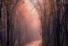 迪奥戈-科斯塔:葡萄牙次回合还有机会 我扑点从不会先想好扑哪边.