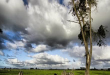 B体育:火箭半场0罚球且无人得分上双,目前与湖人战成48平.