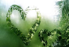 赛事前瞻 | 常规赛收官之战!山西汾酒主场迎战南京头排苏酒.