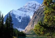 曼联将门票价格提高到了66英镑.